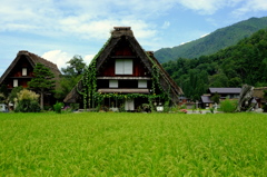 白川郷