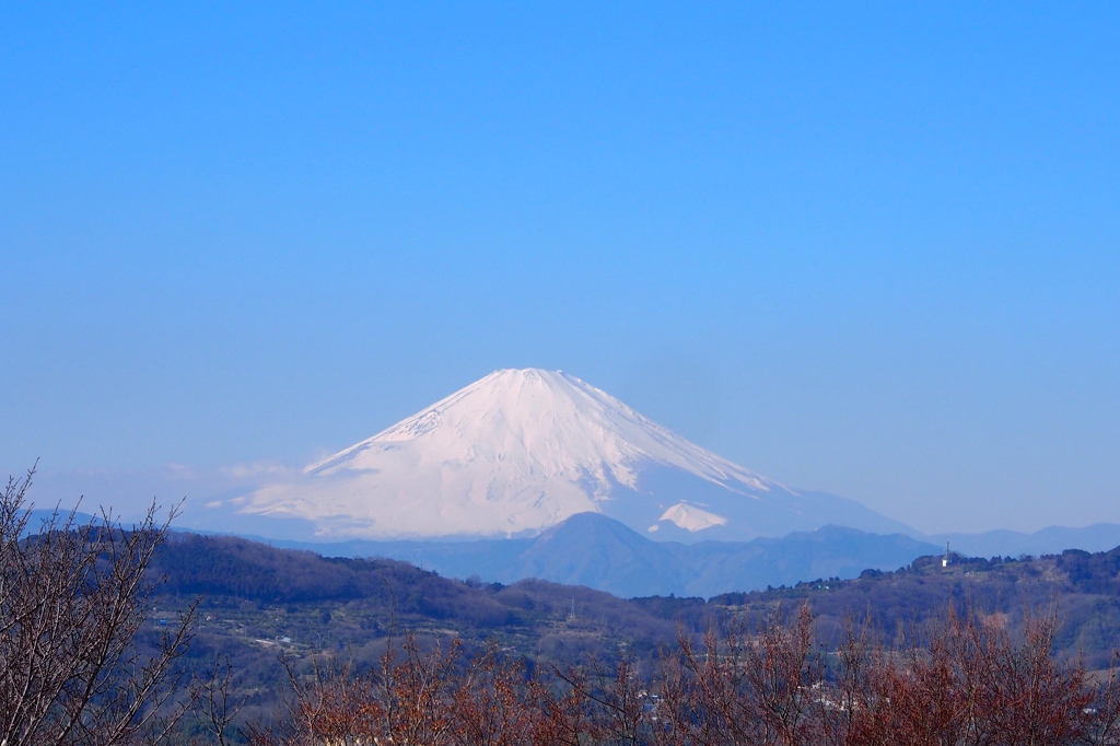 富士山