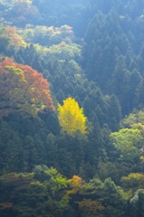 山北にて