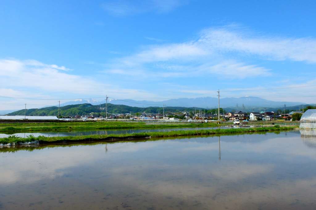 田舎の春