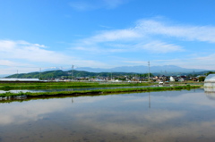 田舎の春