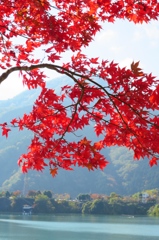丹沢湖畔にて