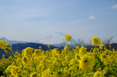二ノ宮　吾妻山