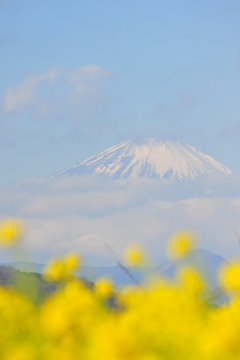 2016年　吾妻山