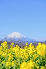 吾妻山にて