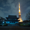 真冬の空に漂う東京タワー