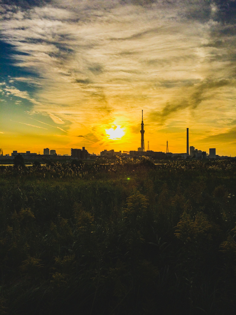 夕焼け空綺麗だと思う心忘れないで