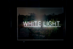 WHITE LIGHT