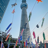 屋根より高い？