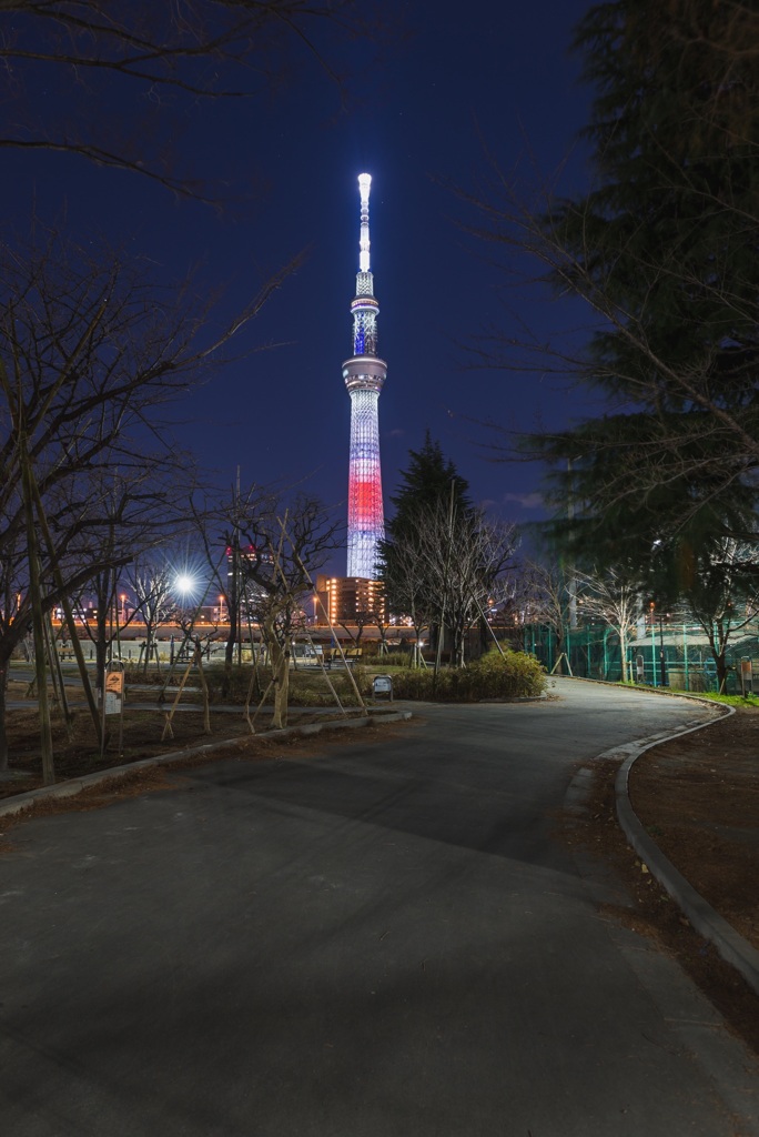 日の丸