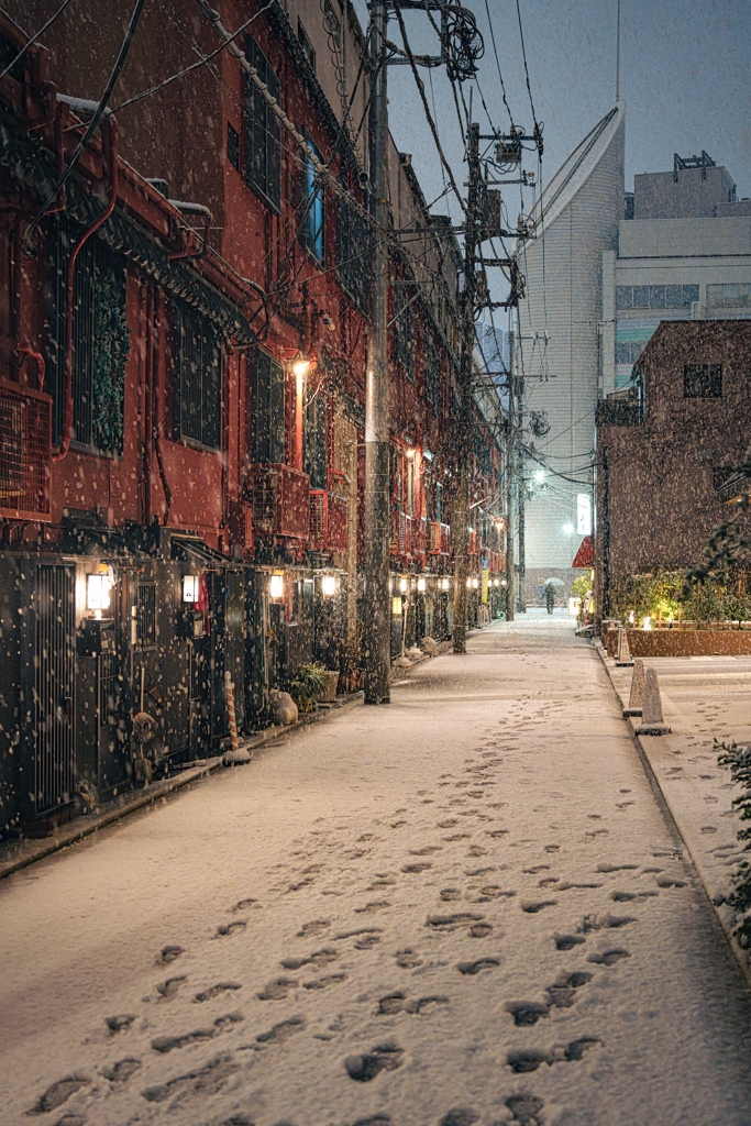 雪化粧