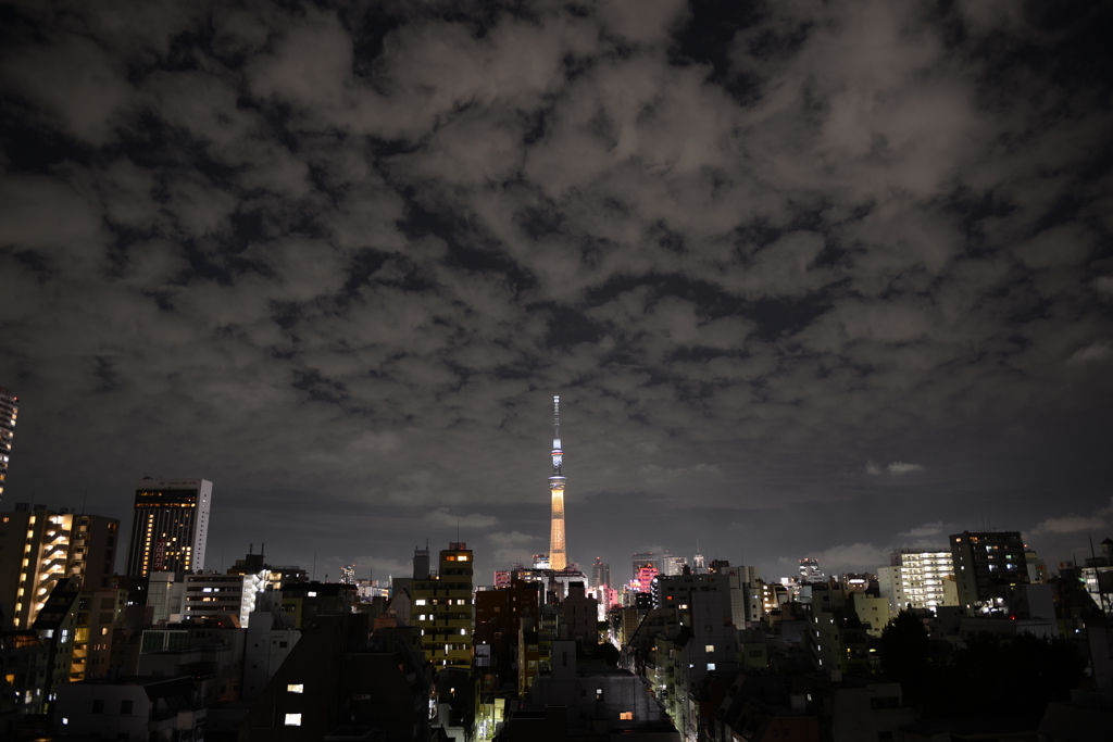 Tokyo Olympic