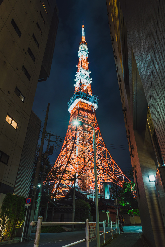 追いかけた途端に見失う