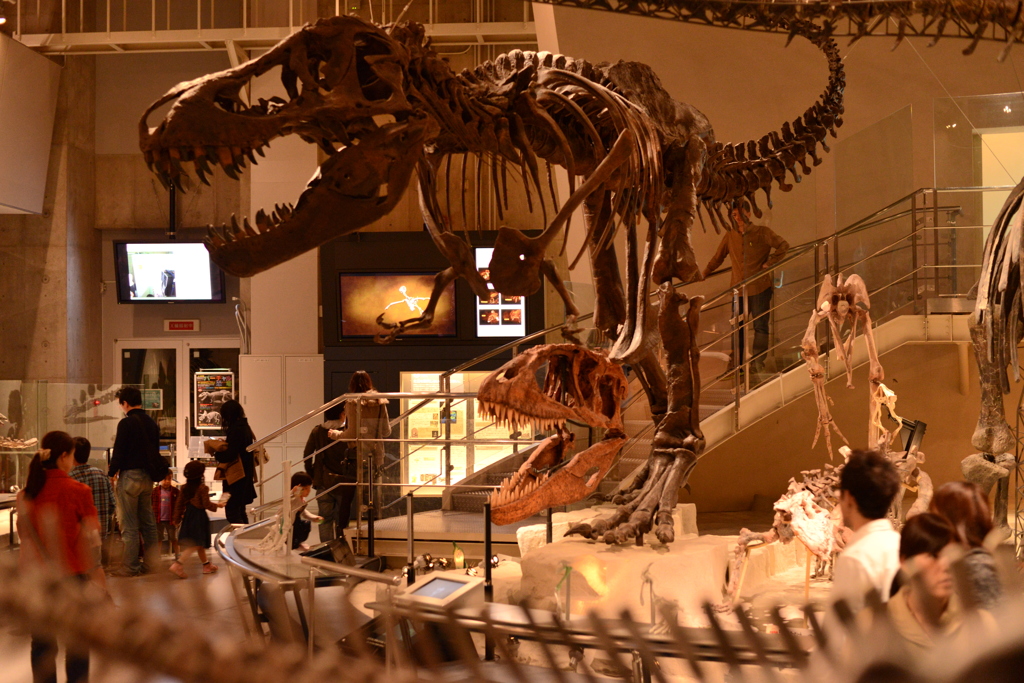 Tyrannosaurus