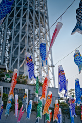 スカイツリーとこいのぼり