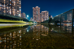 夜散歩