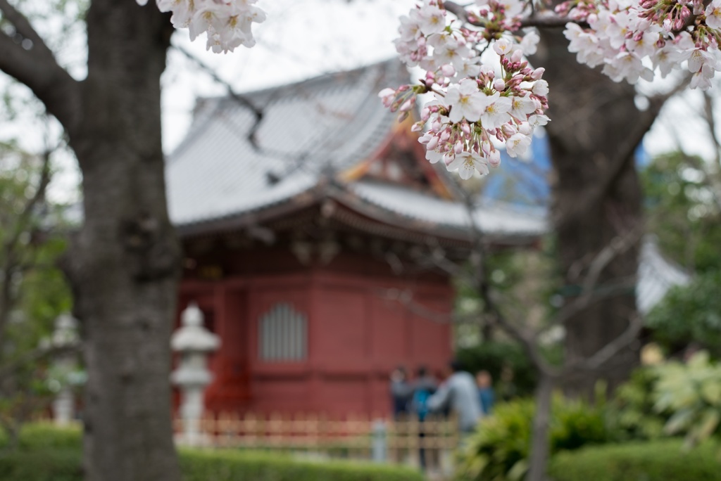 東京散歩