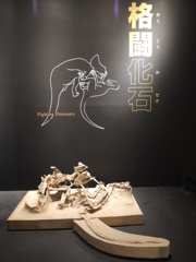 格闘化石 in大恐竜展