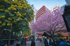 蔵前神社