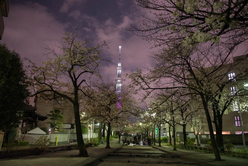 聳え立つ