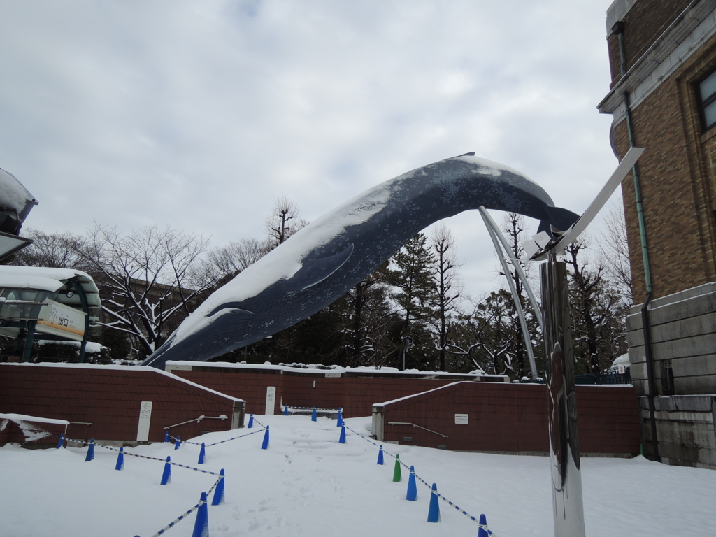 雪の帽子