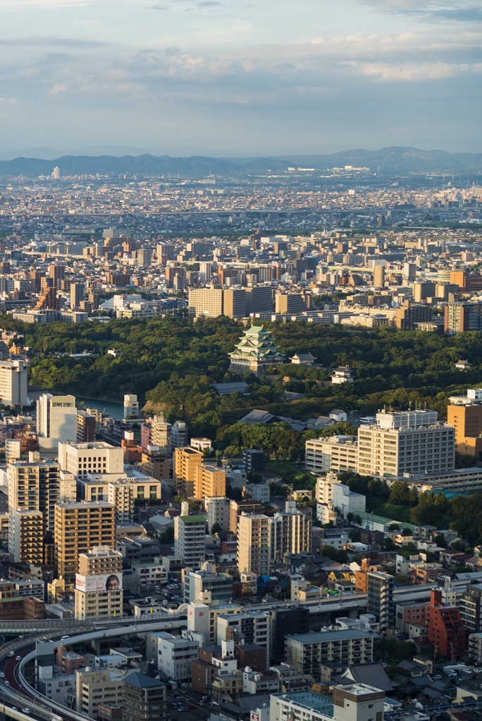 何気ない光景