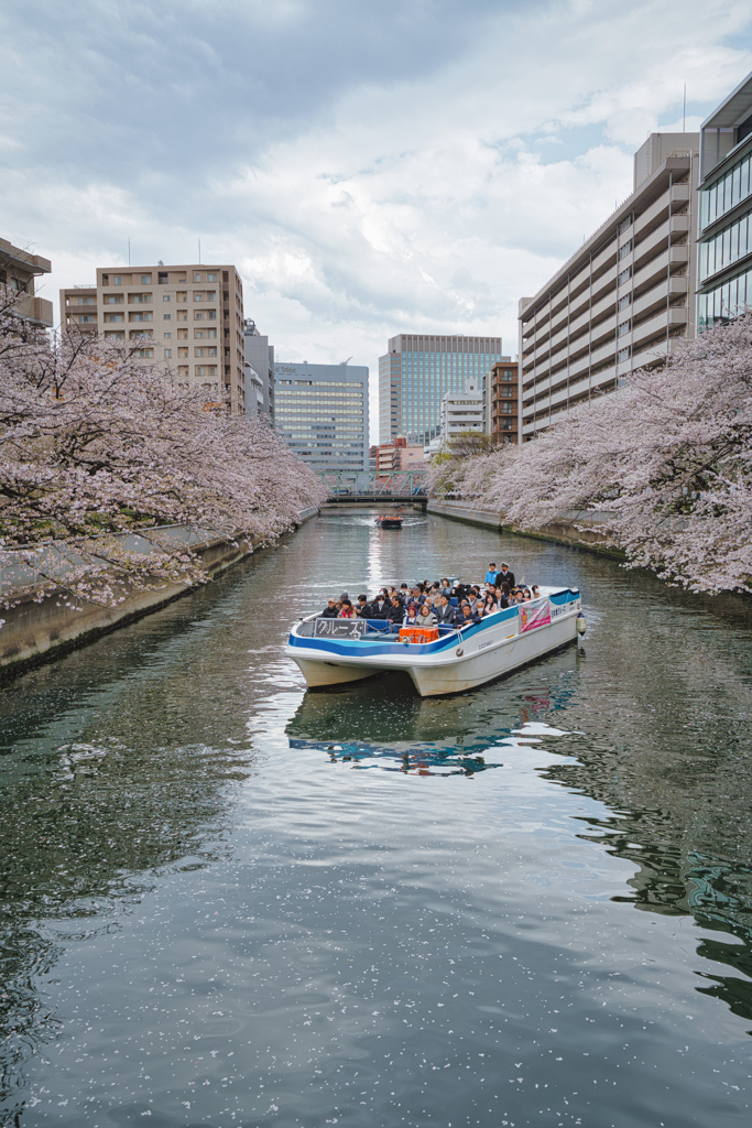 水上
