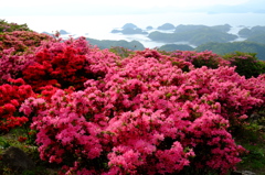 長串山公園