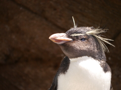 東山動物園