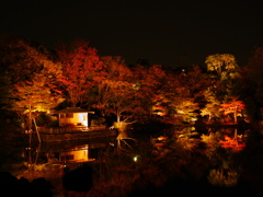 池に映える紅葉