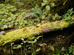 P1020834