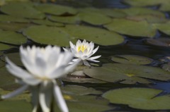 公園にて