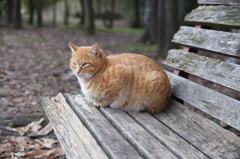 となりに座っていいですか？