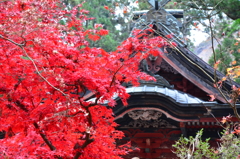 榛名神社