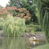 札幌中島公園…秋の訪れ