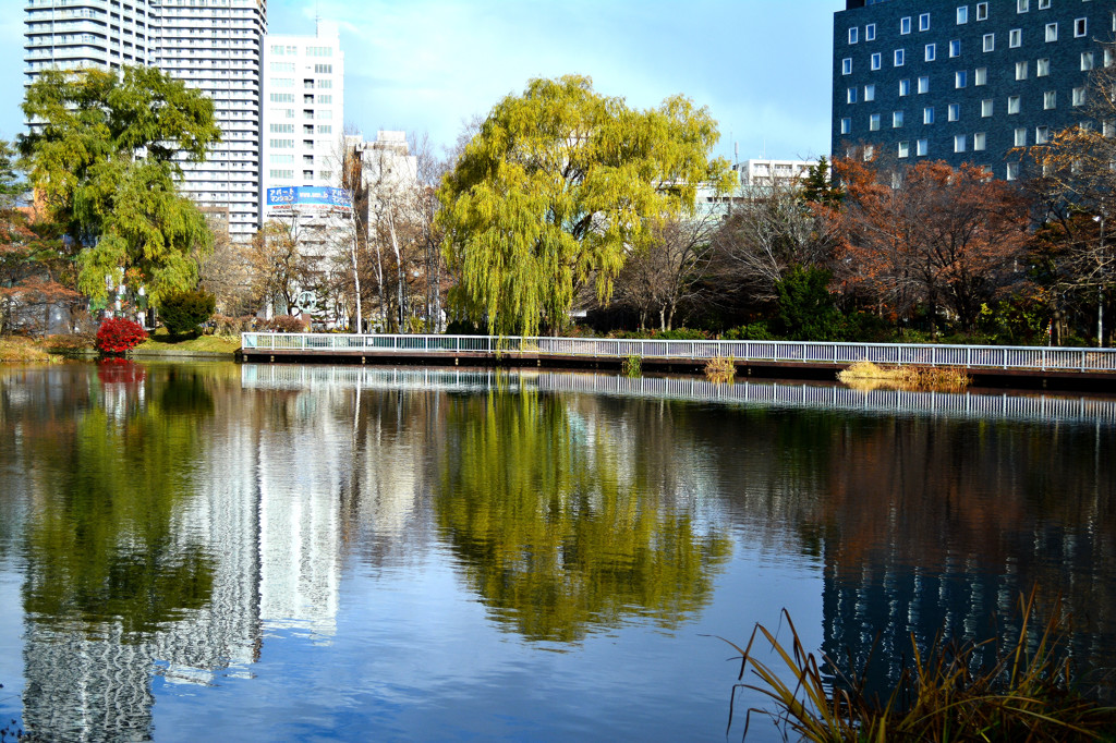 冬景色　中島公園