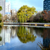 冬景色　中島公園