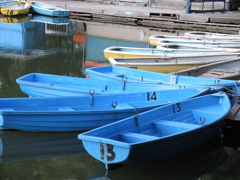 夏の終わりに…菖蒲池のボート
