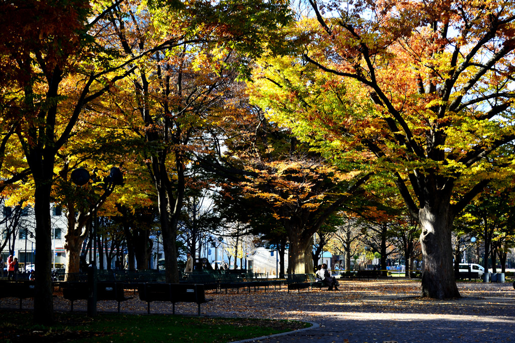 大通公園点描　秋から冬へ