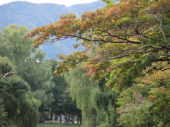 札幌中島公園…秋の訪れ