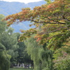 札幌中島公園…秋の訪れ