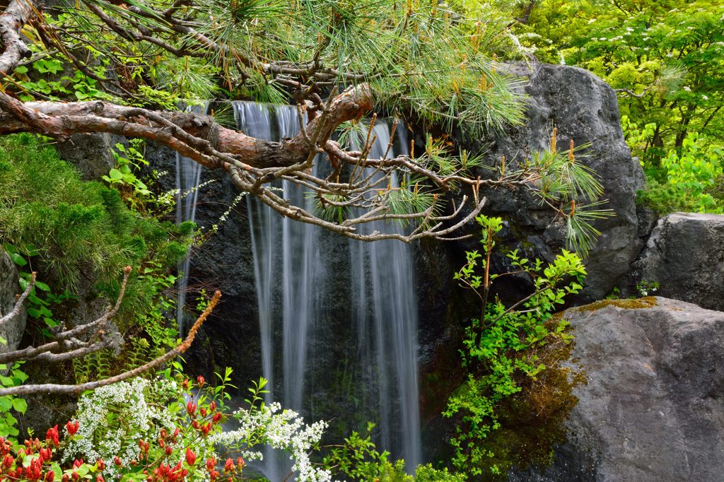 天神山緑地にて