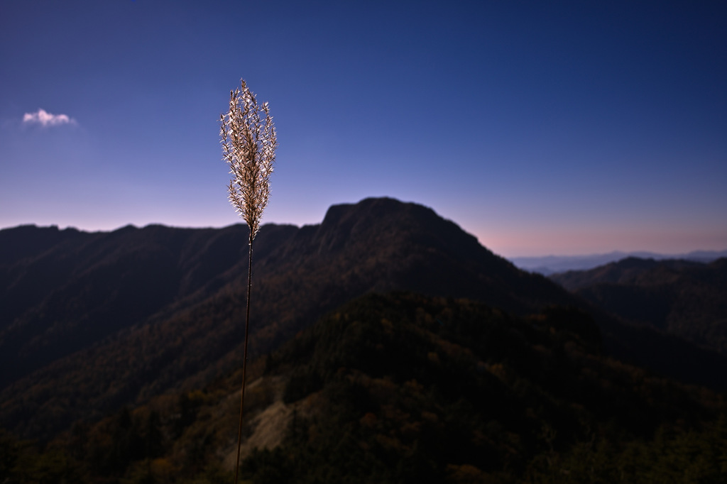 秋山