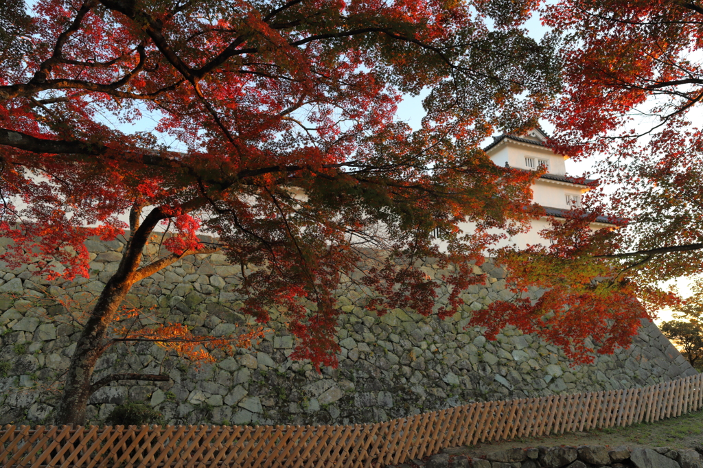 紅葉と城２