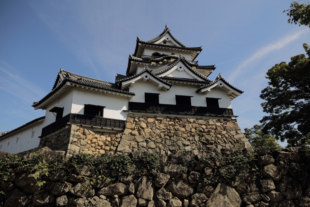 地元のお城・彦根城