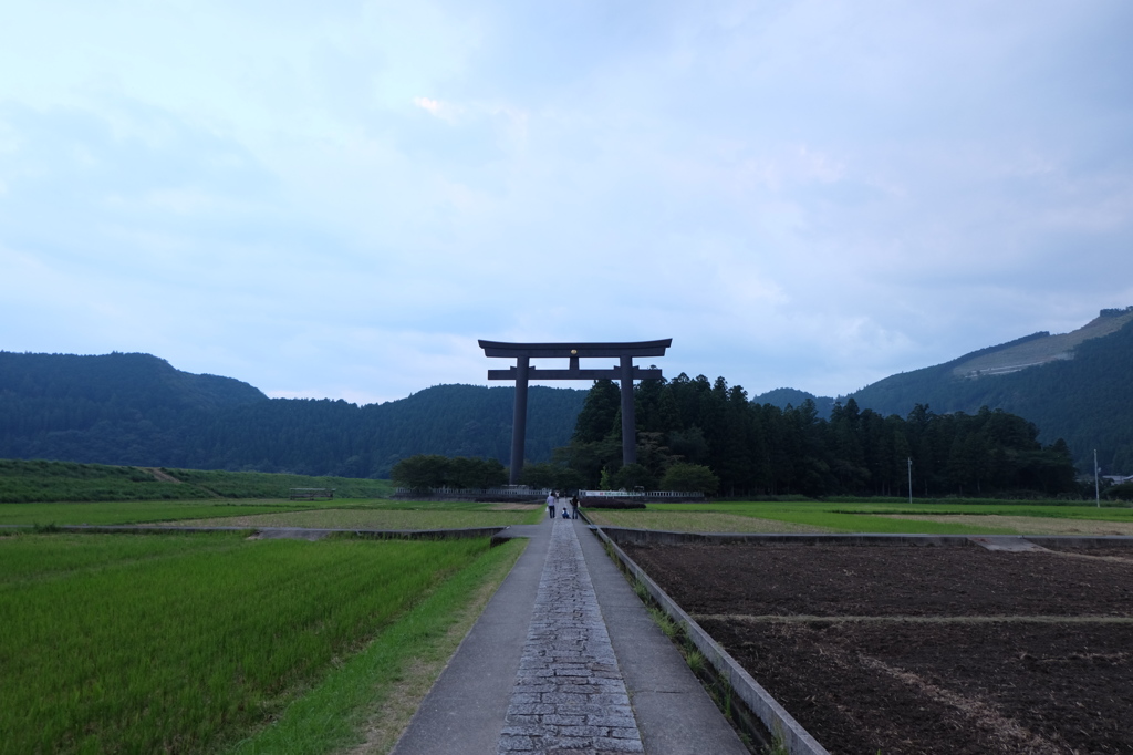 DSCF2994
