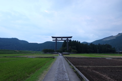 DSCF2994