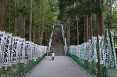 DSCF2984