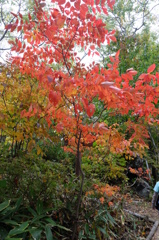 DSCF3193