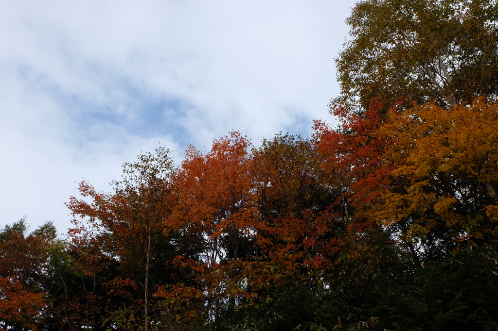 DSCF3260